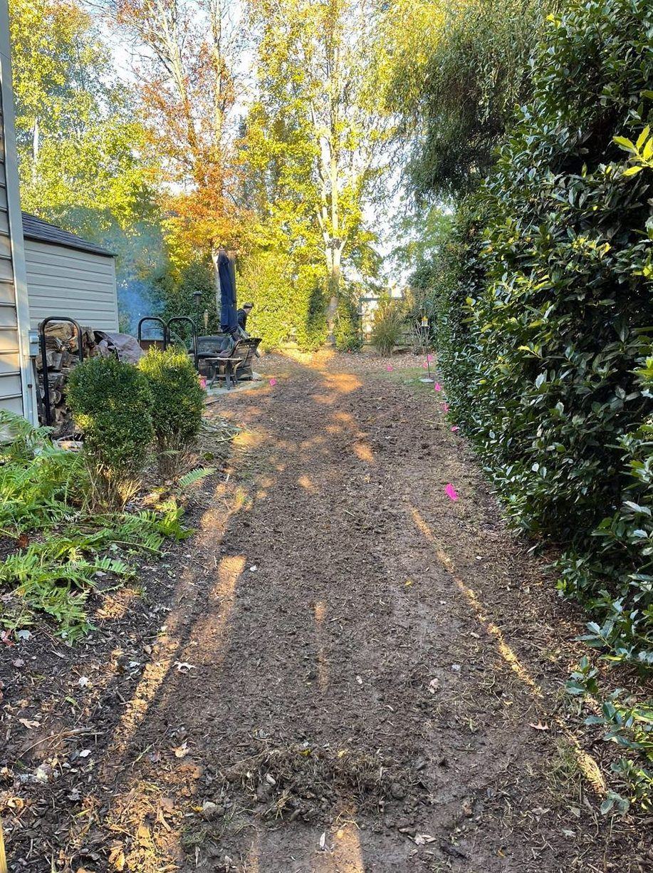 Freshly graded path across an open property
