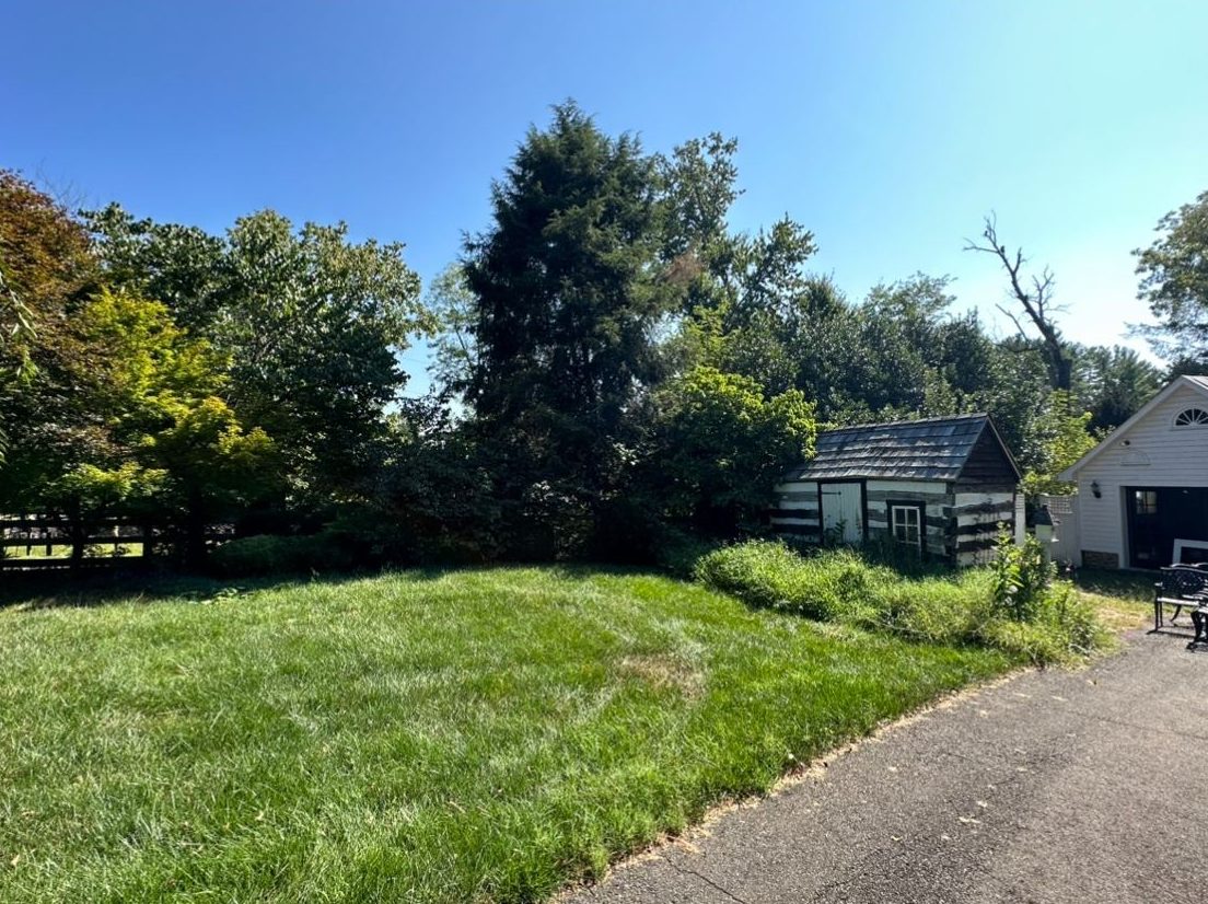 Healthy lawn along a driveway