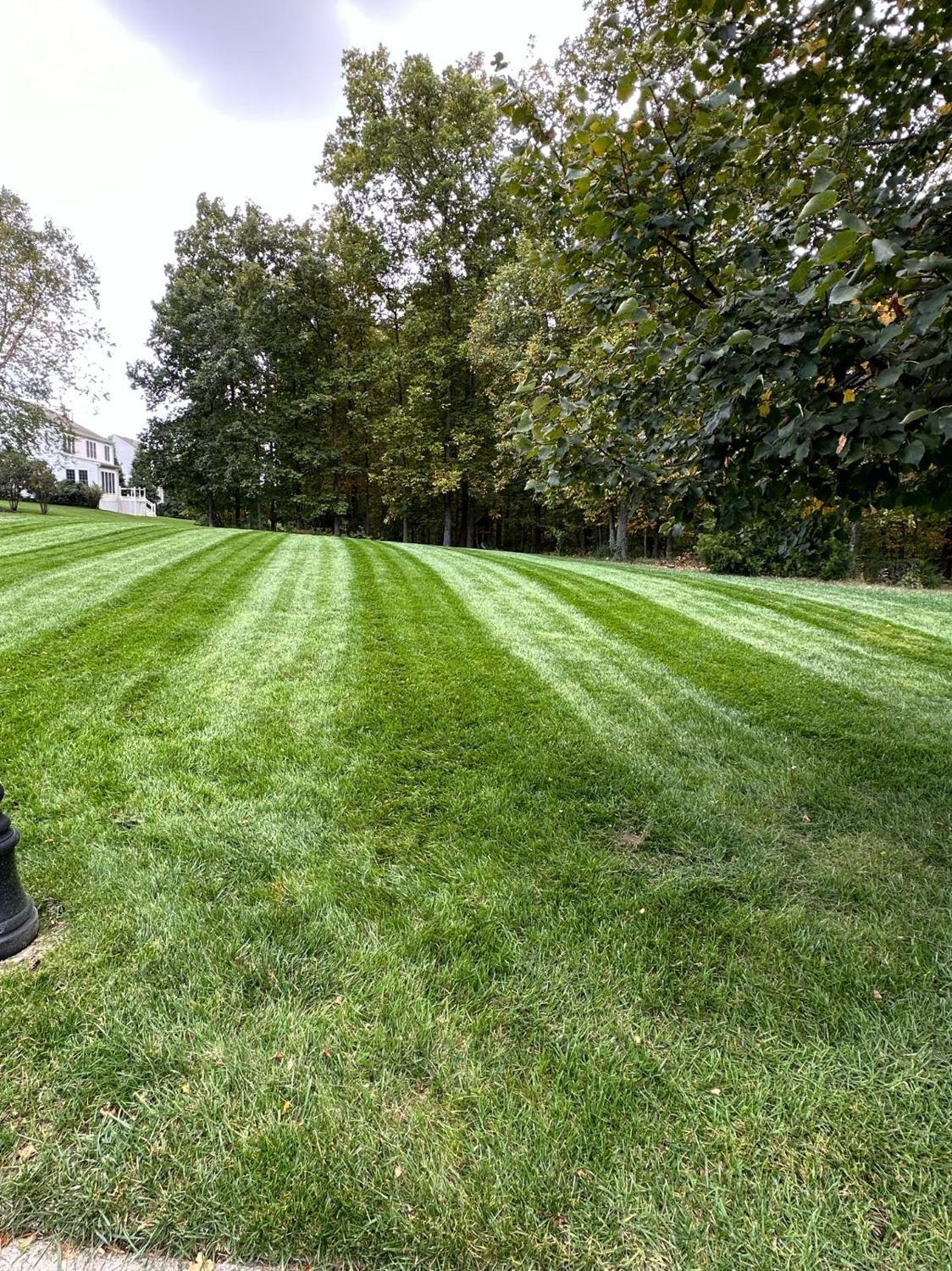 Freshly striped lawn on a Northern Virginia estate property