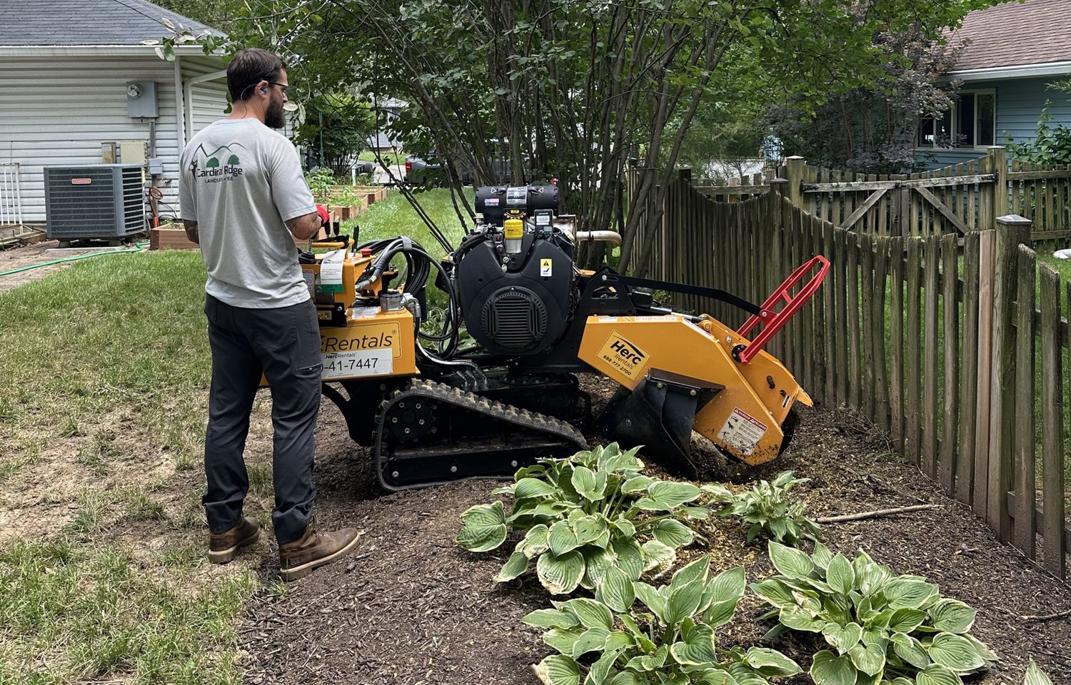 Stump grinding beside a back-yard fence