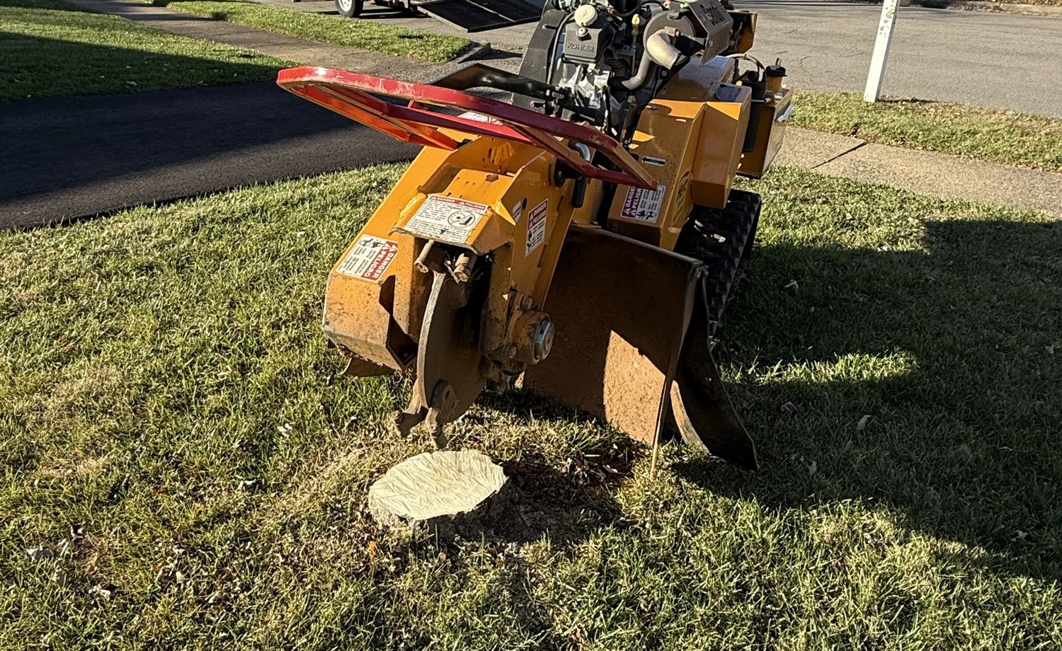 Stump grinder lined up on a low stump in a front lawn