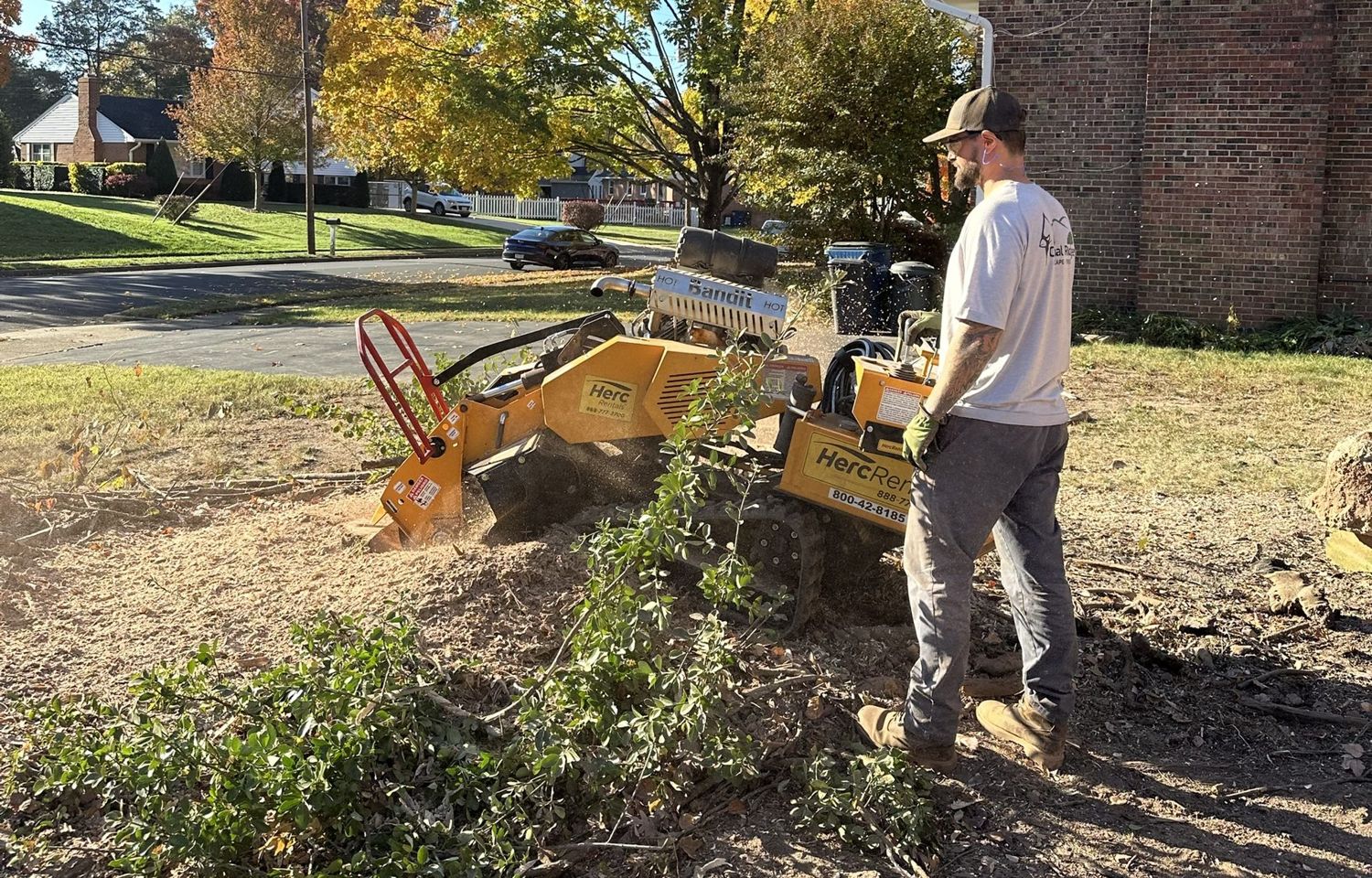 Cardinal Ridge crew member running a stump grinder in a front yard